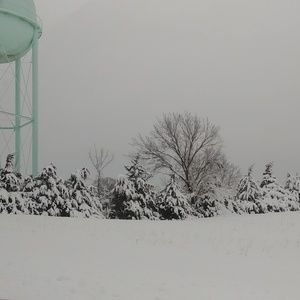 Meet your Posher, Peggy